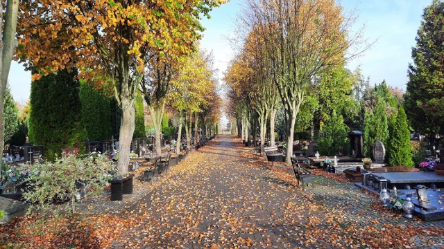 Tak cmentarz przy ul. żwirowej w Gorzowie wyglądał w niedzielę 23 października. Za chwilę będzie to najbardziej zatłoczone miejsce w Gorzowie...