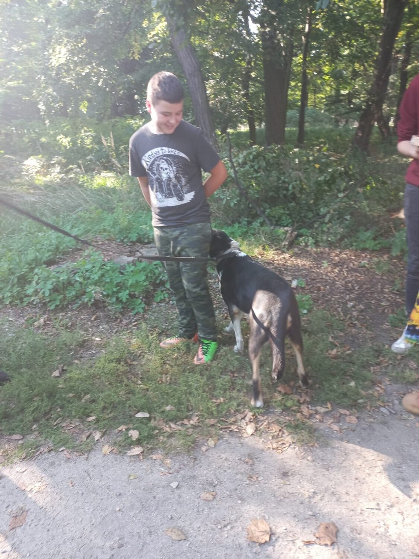 Młodzież z Centrum Kształcenia i Wychowania OHP wyprowadziła na spacer bezdomne psy z czermińskiego azylu