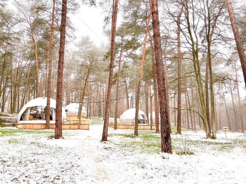 Leśne SPA w Planeta Glamping. Wyjątkowe miejsce na odpoczynek pod Warszawą 