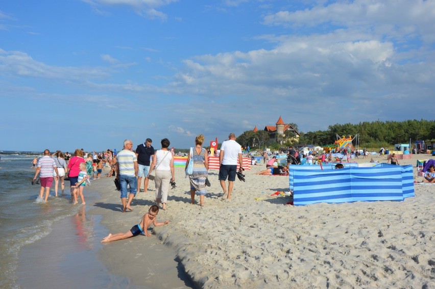 Łeba. Ekipa Hołowni sprząta dziś plażę zachodnią i zachęca do uczestnictwa