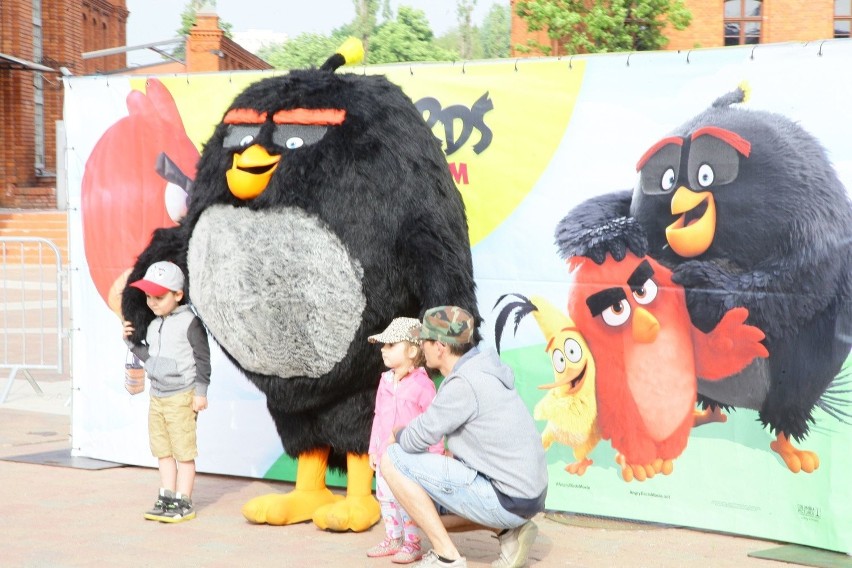 "Angry Birds" w Łodzi. Loty balonem nad Manufakturą już w piątek [ZDJĘCIA]
