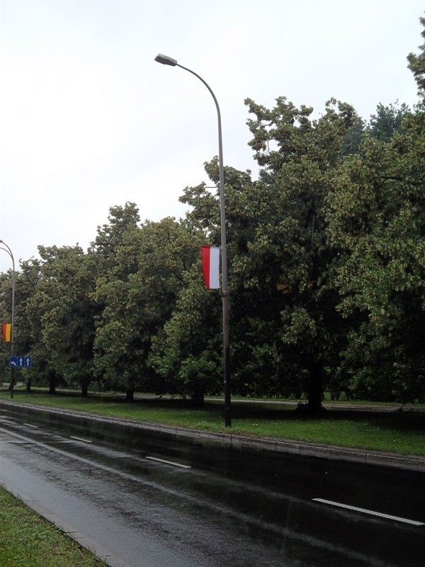 Flagi Polski czy flagi Monako wiszą przy ul. Żwirki i Wigury? Zależy, od której strony patrzysz