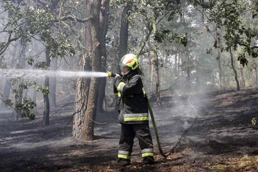 Gaszenie pożarów lasów jest bardzo trudne