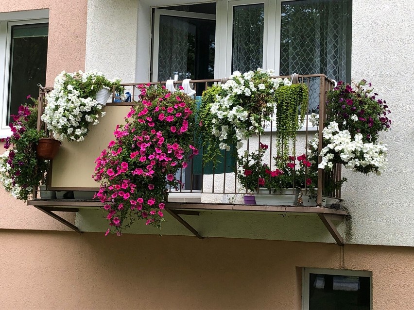 Klub Relax Śrem: Konkurs na Najbardziej Ukwiecony Balkon - zobaczcie te balkony!