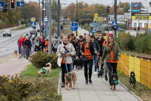 Parada Psów Adoptowanych jest inicjatywą Schroniska dla Zwierząt w Bydgoszczy i OTOZ Animals, Oddziału Kujawsko Pomorskiego. Ma na celu zachęcenie osób kochających zwierzęta do adopcji psów i kotów ze schronisk.