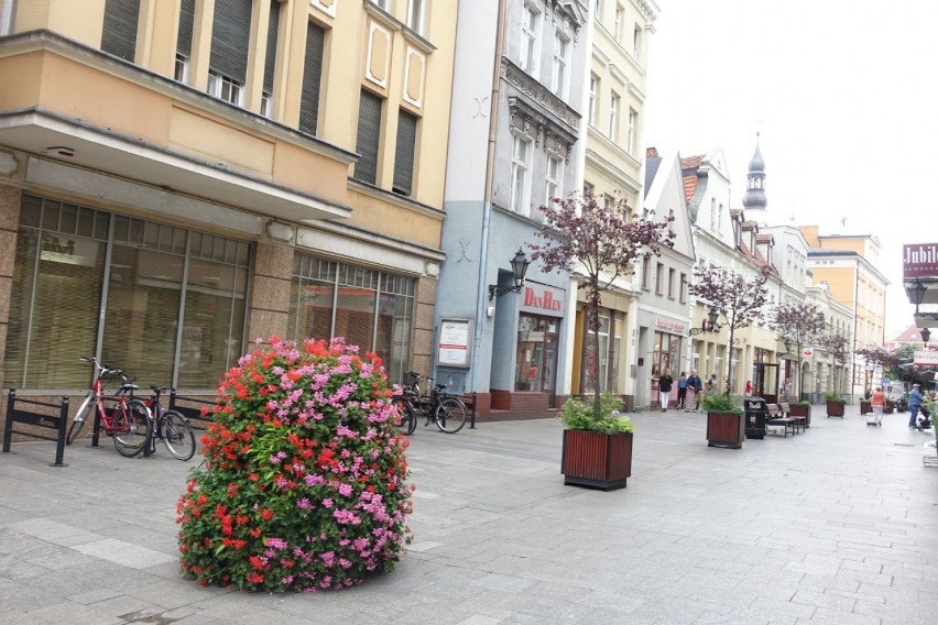 Leszno. Leszczyńska starówka w letniej odsłonie [ZDJĘCIA] 