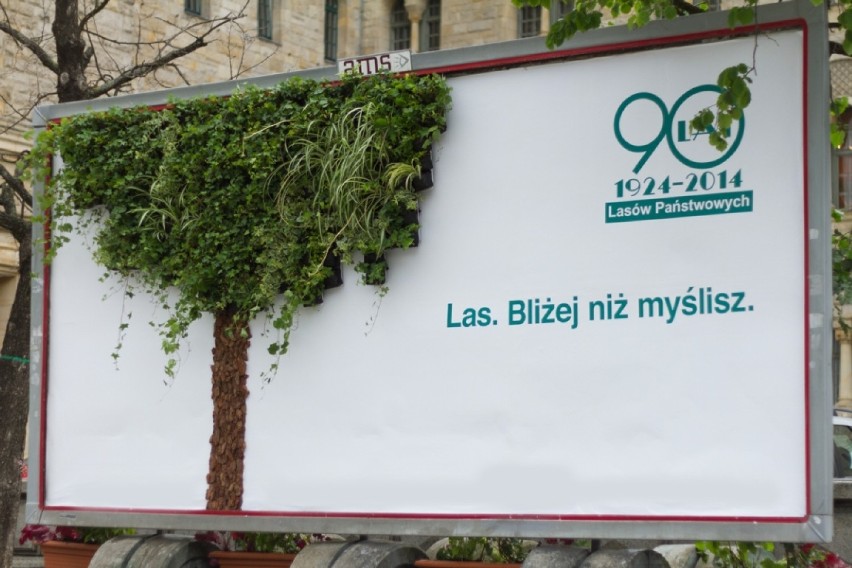 W żywym billboardzie i leśnych "Lovelasach" wykorzystano 16 gatunków roślin.