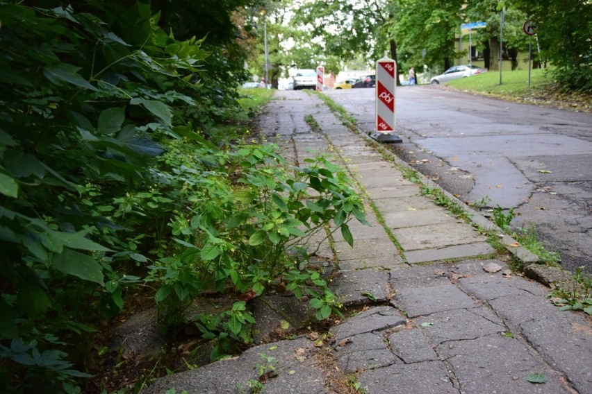 Rusza remont ulicy Wiślnej w Tarnobrzegu. Wykonawca apeluje do kierowców o nieparkowanie aut wzdłuż drogi 