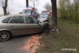 Wypadek w Stanowicach: oplem uderzył w drzewo ZDJĘCIA