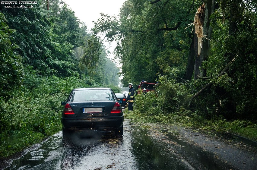 Burza w powiecie kwidzyńskim. 12 interwencji [ZDJĘCIA]