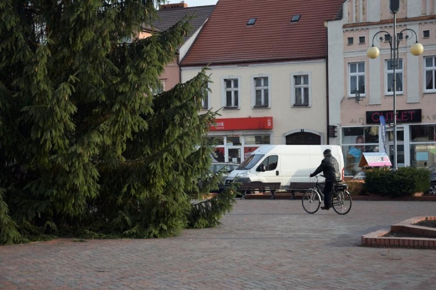 Na rynku w Chodzieży już stoi choinka. Kiedy pojawią się inne świąteczne dekoracje?