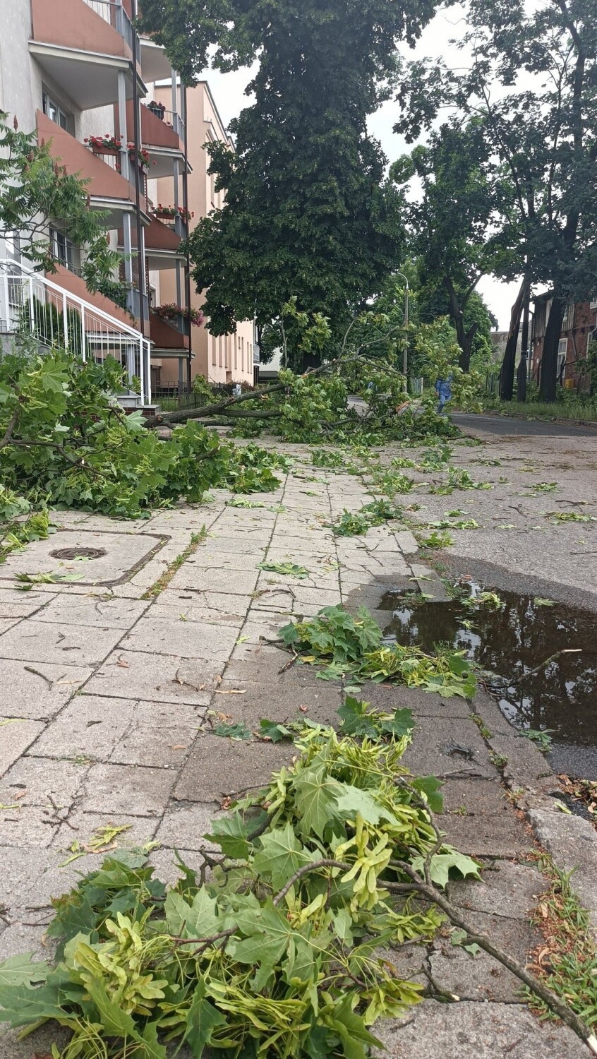 Strażacy z Toruniu i pobliskich terenów wyjeżdżali około 100...