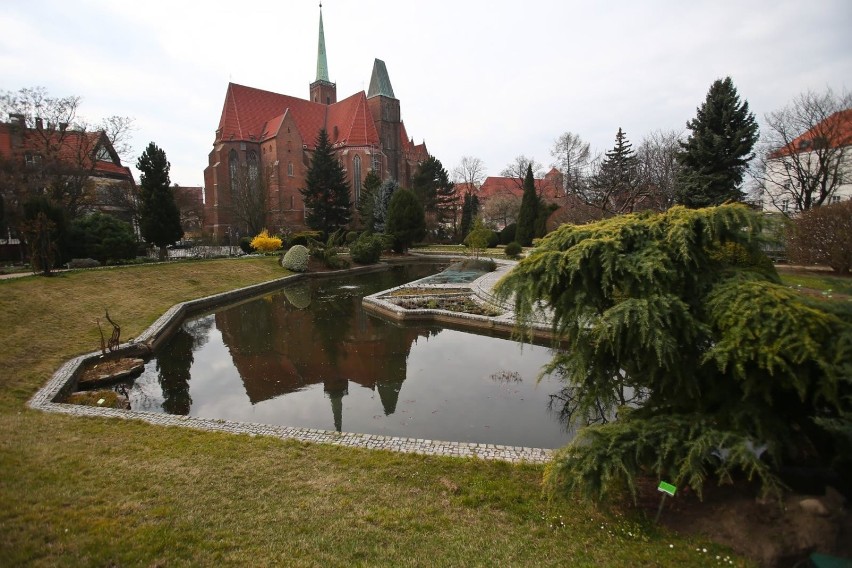 Wrocław. Ogród Botaniczny jest już otwarty (CENY BILETÓW, GODZINY) 