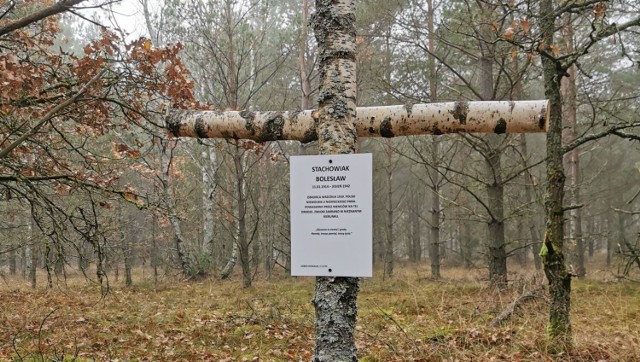 Krzyż na miejscu kaźni Bolesława Stachowiaka przy drodze koło Wilczych Lasek