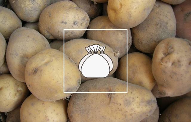 Ziemniaki najlepiej przechowywać w chłodnym i ciemnym miejscu z dobrą wentylacją.