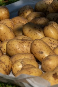 Jak przechowywać ziemniaki i inne warzywa zimą? Oto sprawdzone sposoby