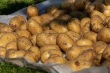 Jak i gdzie przechowywać ziemniaki, buraki i marchewkę zimą? Jest kilka metod dla warzyw korzeniowych