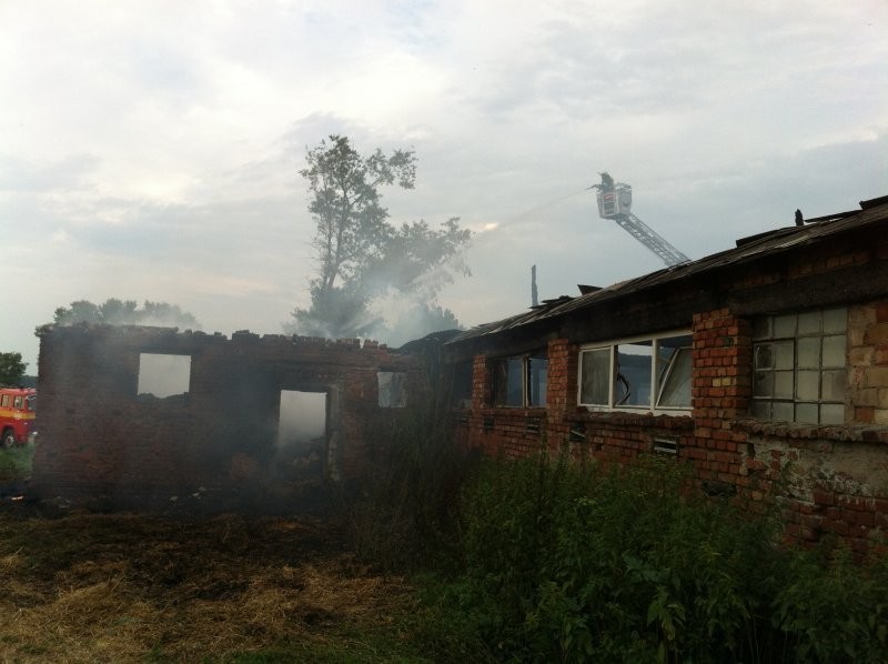 Pożar obory w Lasecznie. Zobacz zdjęcia!