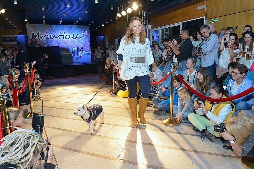 Pokaz psiej mody w Krakowie