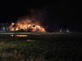 Pożar słomy w Zabrzu - na miejscu pracowało aż 8 zastępów straży pożarne. Akcja gaśnicza jeszcze się nie skończyła