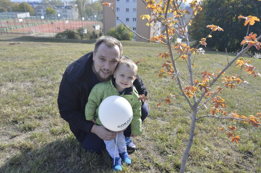 Drzewa są super. Każdy z nas z nich korzysta. Ty także! Gdzie w Gorzowie najbardziej ich brakuje?