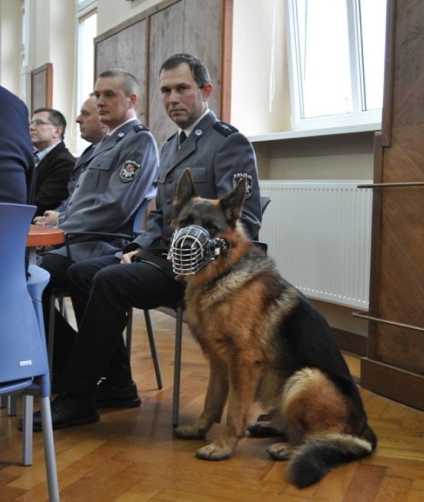 W Komendzie Powiatowej Policji w Śremie odbyło się spotkanie...