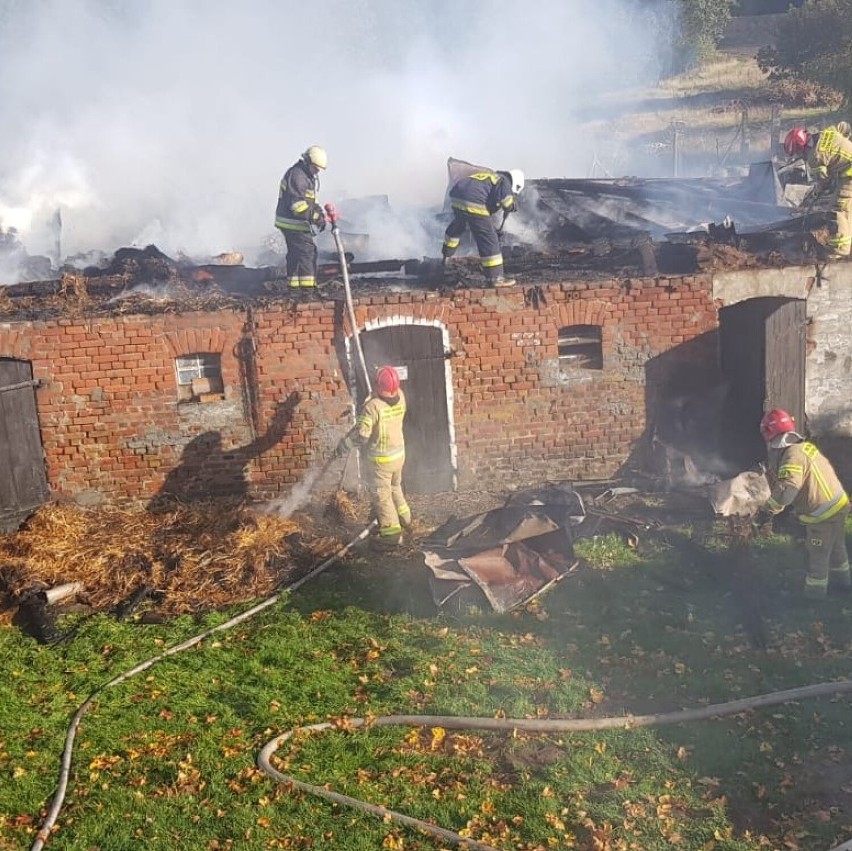 Pożar budynku inwentarsko-gospodarczego w miejscowości Kielno (październik 2022)