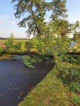 Nawałnice w okolicach Kościana. Niebezpieczne warunki pogodowe zakończyły długi weekend