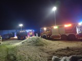 Nocny pożaru zakładzie produkcyjnym przy ulicy Wrocławskiej w Kaliszu ZDJĘCIA