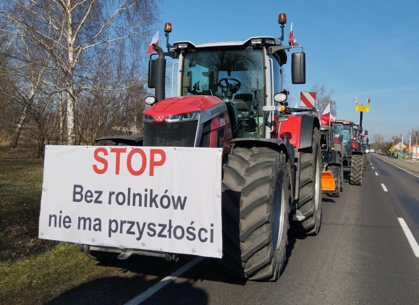 Rolnicy protestowali przy zjeździe z A2 Dąbie. Chcą obowiązkowego kursu wiedzy dla „Euro osłów i posłów”