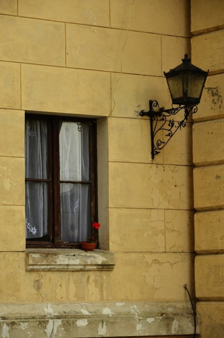 Photoday w pałacyku Pauckcha. Głosowanie trwa [ZDJĘCIA]