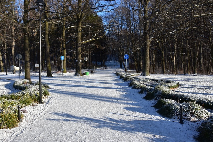 Wałbrzych: Park w Rusinowej w zimowej szacie