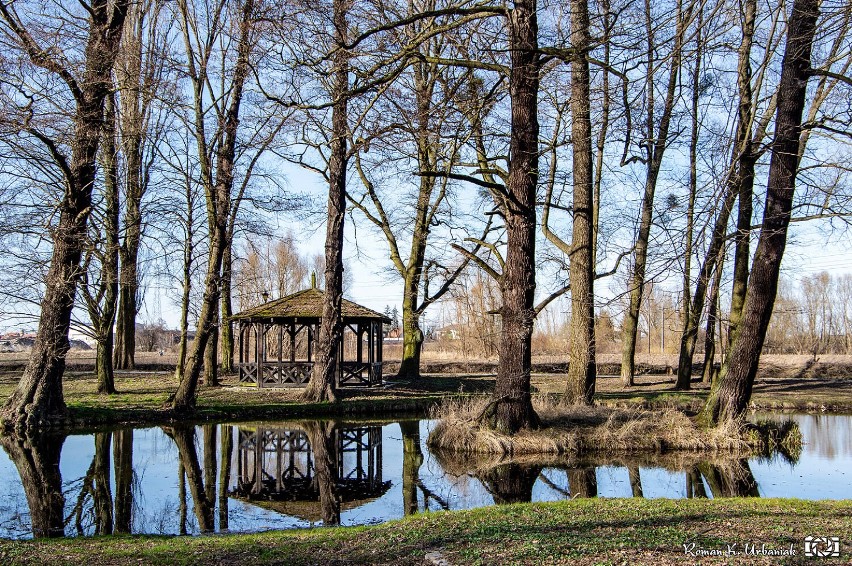 Pleszew. 16-latek wrzucił worek ze śmieciami do stawu w...