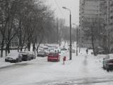 Zima w Sosnowcu: dziś pierwszy biały dzień [ZDJĘCIA]