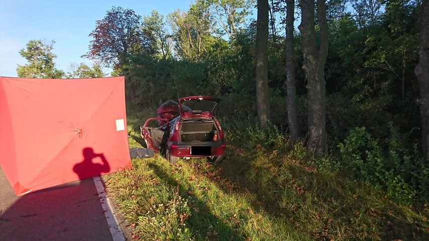 Straszny wypadek w Myszkowie. Auto wypadło z jezdni i uderzyło w drzewo. Zginął 36-latek ZDJĘCIA