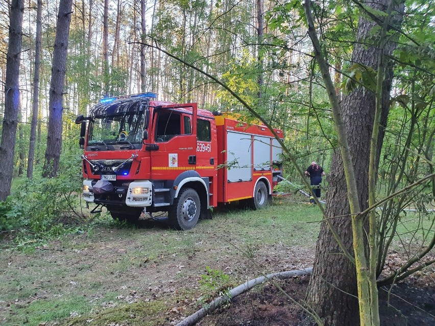W okolice Bartodziej skierowano zastępy straży pożarnej w...