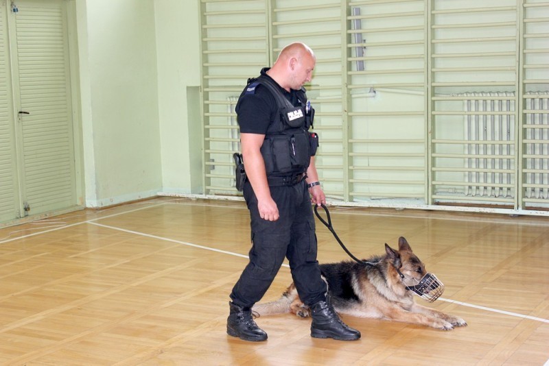 Czworonożny policjant z wizytą w szkołach