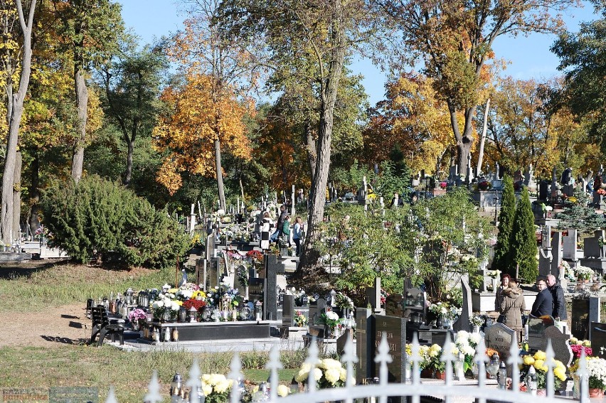 Wszystkich Świętych 2023 na cmentarzu w Szpetalu Górnym, gmina Fabianki. Zdjęcia, 1 listopada 