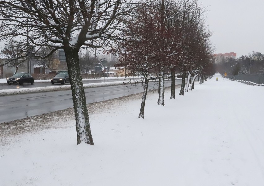 Piękna zima w Radomiu. Śnieg przykrył ulice oraz parki. Zobaczcie zdjęcia zasypanego miasta
