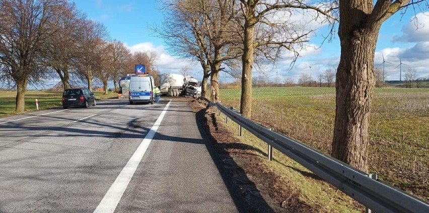 Groźny wypadek ciężarówki na drodze krajowej numer 6 [ZDJĘCIA]