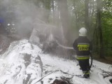 Muchówka. Wypadek na leśnej drodze w Muchówce, samochód uderzył w drzewo i stanął w ogniu, kierowca ranny. Mamy zdjęcia 