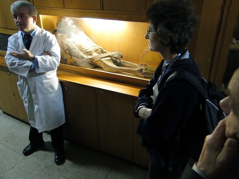 W Poznaniu też mamy mumię, czyli niezwykłe muzeum w Collegium Anatomicum [ZDJĘCIA]