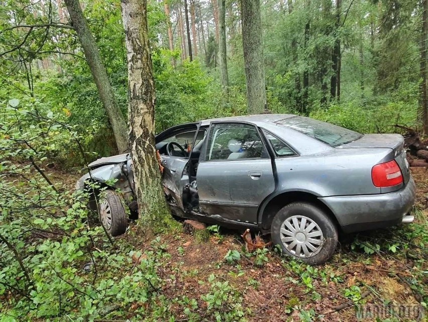 Na DK45 w Jasieniu audi uderzyło w drzewo.