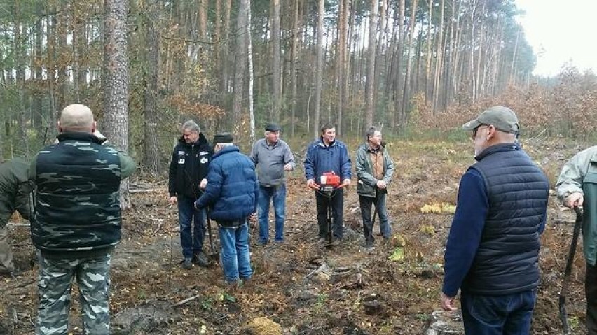 Pszczelarze z Kalisza i regionu sadzili lipy w gminie Brzeziny