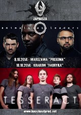 Kraków: Animals As Leaders oraz Tesseract w Polsce