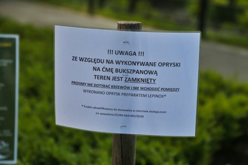 Uwaga, nie wolno dotykać krzewów we Wrocławiu. Trwają opryski. Trucizna może być bardzo groźna