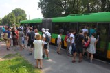 Poznań: Nowa linia połączy Strzeszyn z Winogradami!