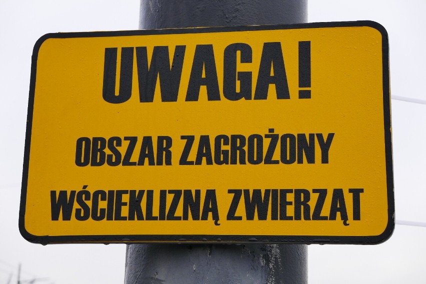 "Uwaga! Wścieklizna". Niepokojące tabliczki w centrum Warszawy