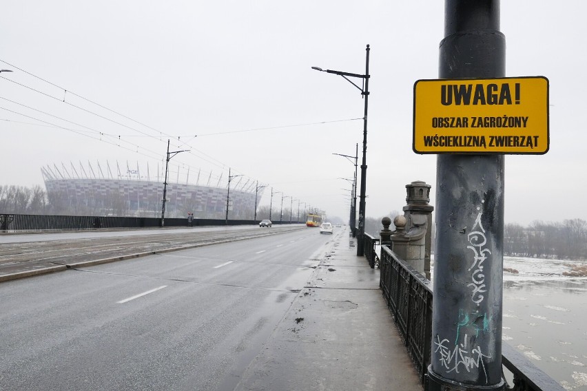 "Uwaga! Wścieklizna". Niepokojące tabliczki w centrum Warszawy