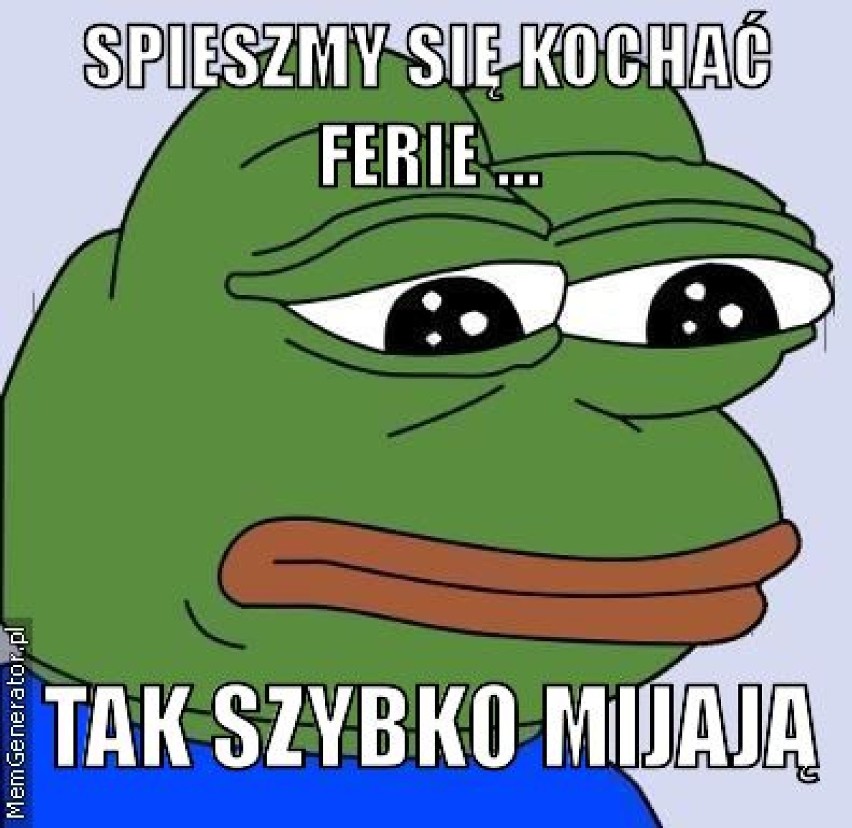  Ferie zimowe 2015. Zobacz, jak internauci komentują przerwę [memy]